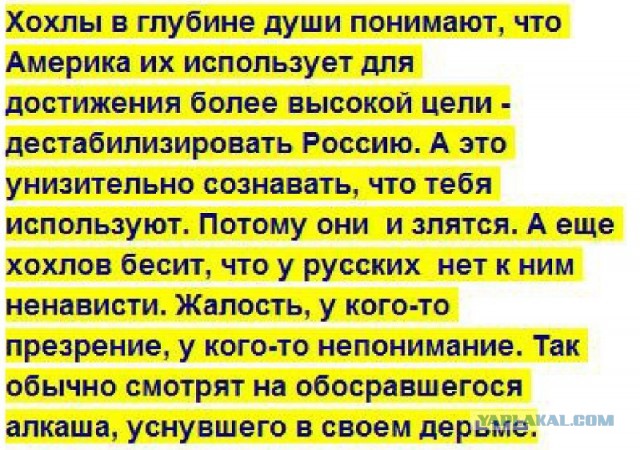 В Киеве под Радой нацисты-радикалы сожгли флаг России