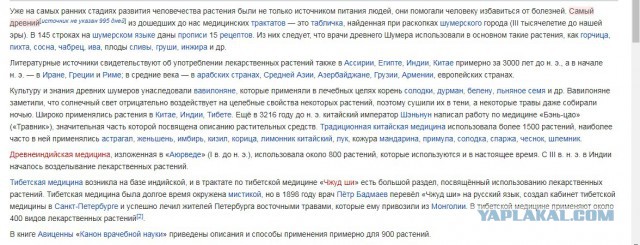 Стыдливое мракобесие