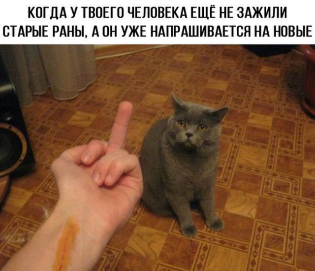 Картинки по-приколу