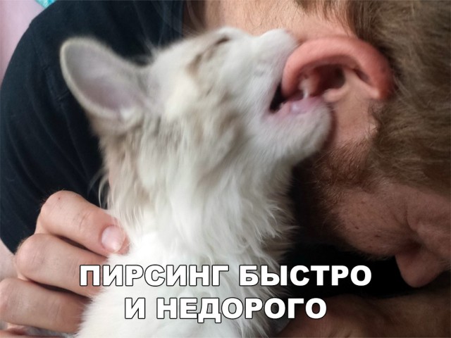 Нестандартный юмор