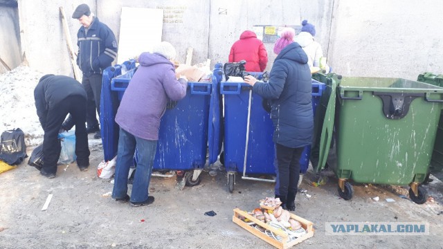 Печальная реальность. Челябинск. Пенсионеры собирают продукты на мусорке.(Для людей с расшатанной психикой 18+).