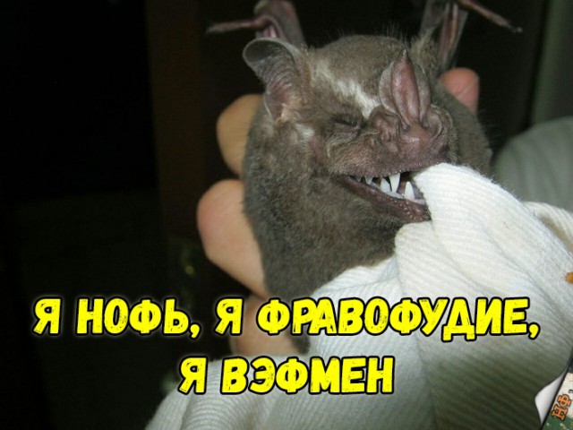 Нестандартный юмор