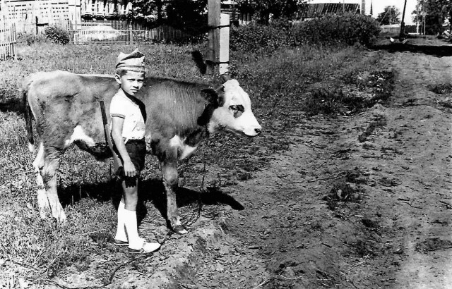 Немного фотографий из жизни одной деревни 70-е  -  80-е...