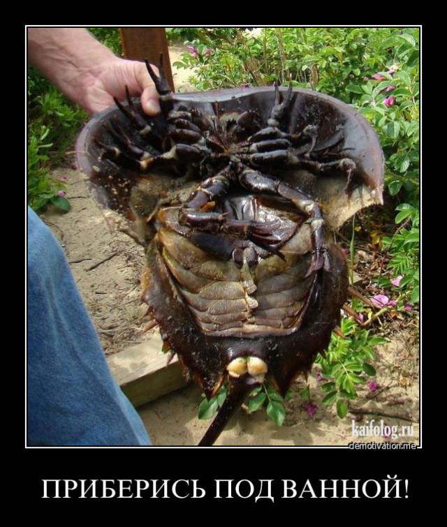 Демки и ностальджи