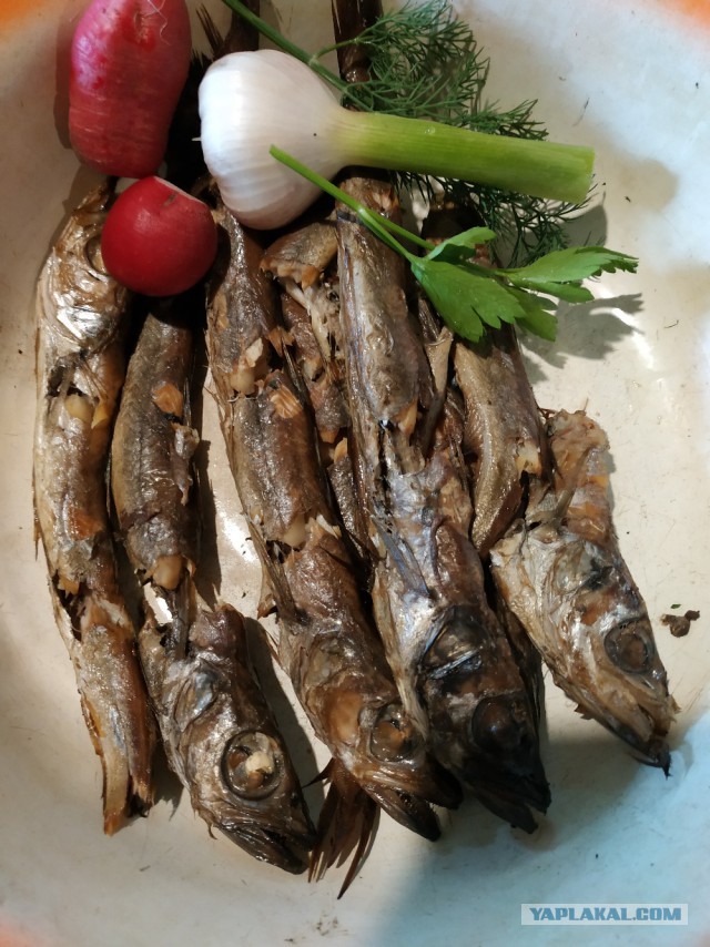 Крутая цыпочка