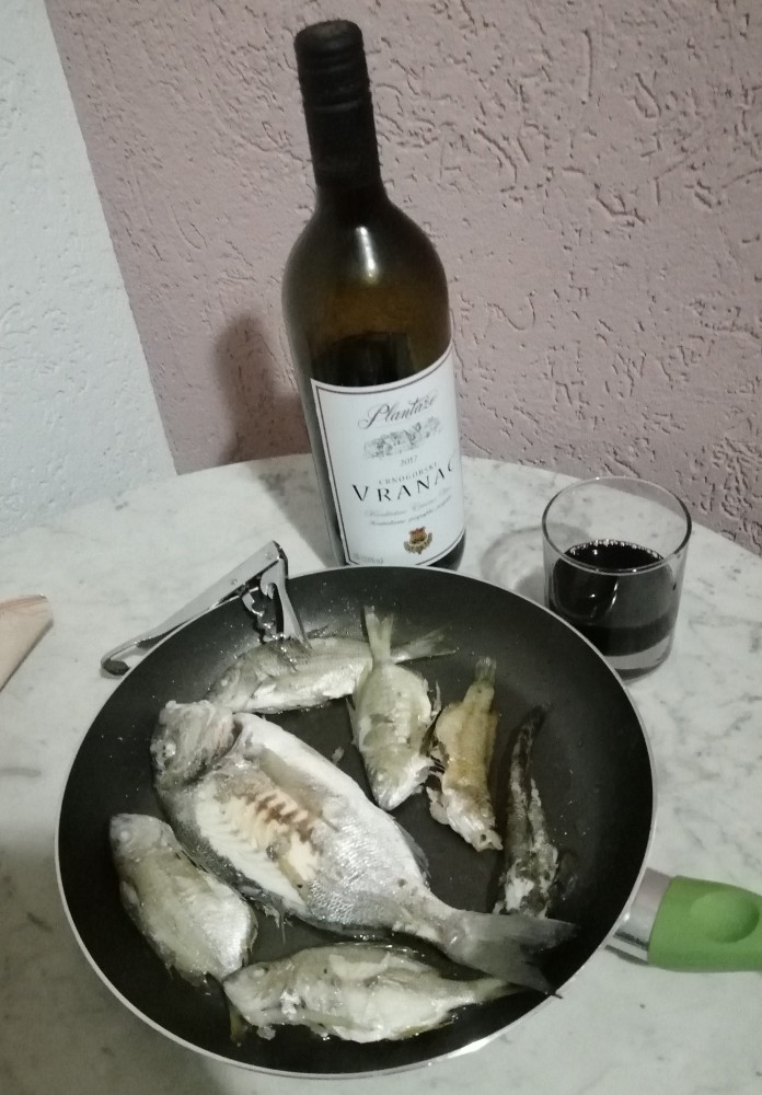 Бомж-тур в Черногорию