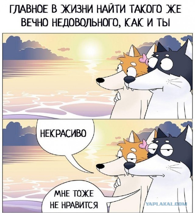 Зачем бабам мужики? Вопрос, на который нет ответа