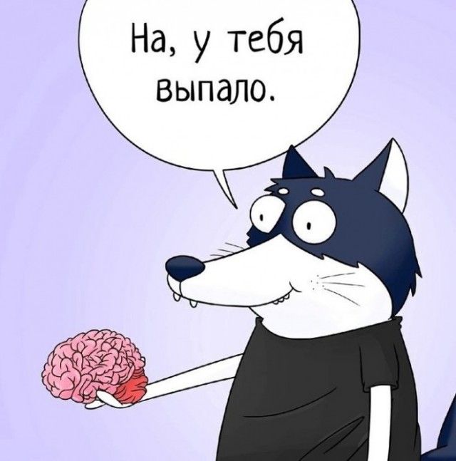 В американском парке обнаружили мужчину, который около 10 лет жил в землянке