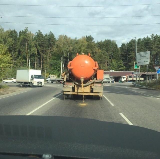 Привет, ромашки!