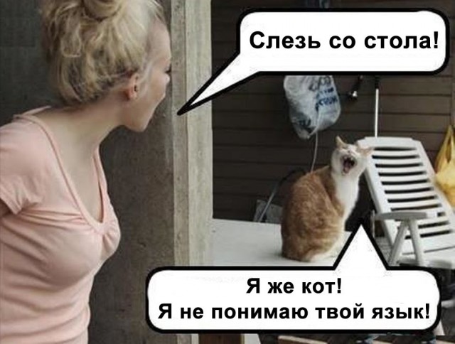 Ночные гости