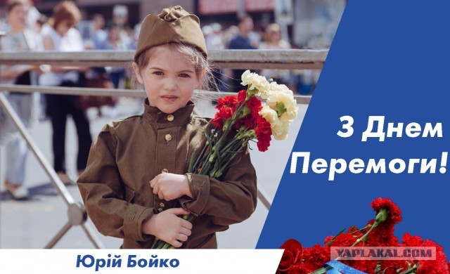 Но тут вдруг снизу постучали
