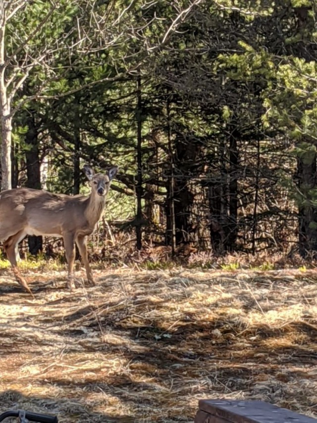 Котлеты двухэтажные
