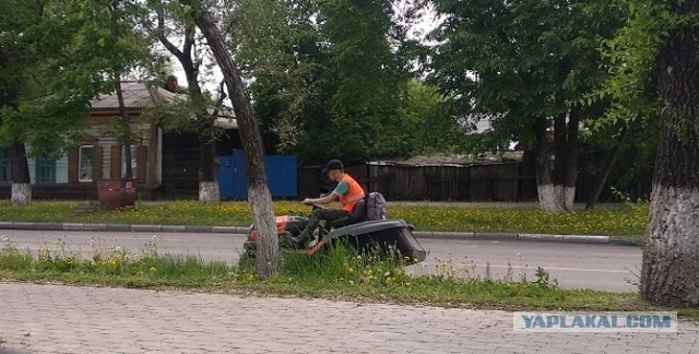 Вот это молодцы