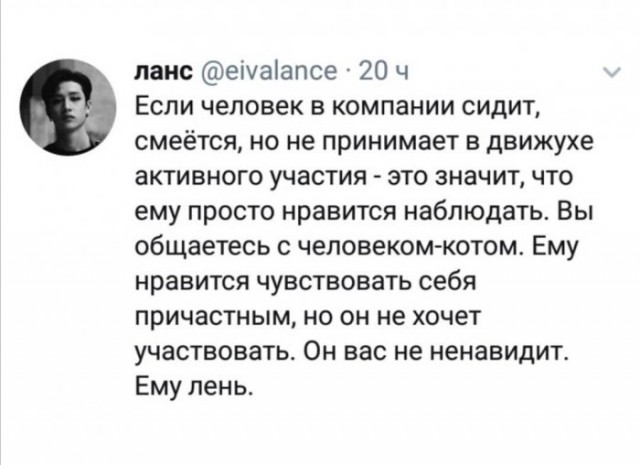 Авторские шутки и комментарии пользователей соцсетей