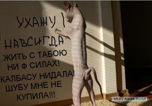 Просто картинки!