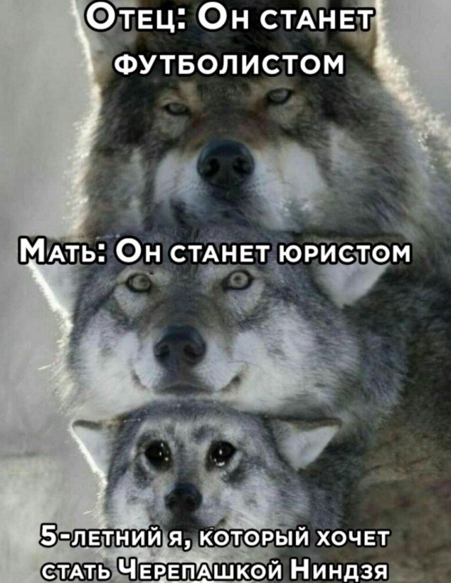 Юмор в картинках 8.10.20