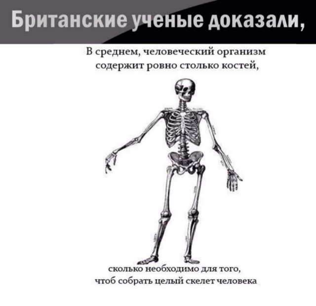 Бредзона 08.12.2020