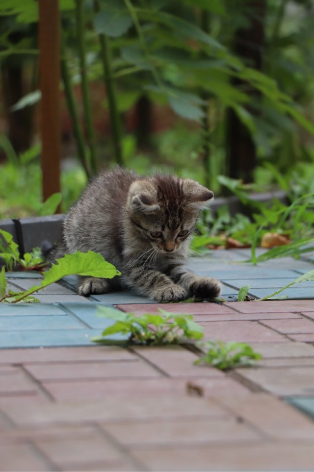 Моя красотка