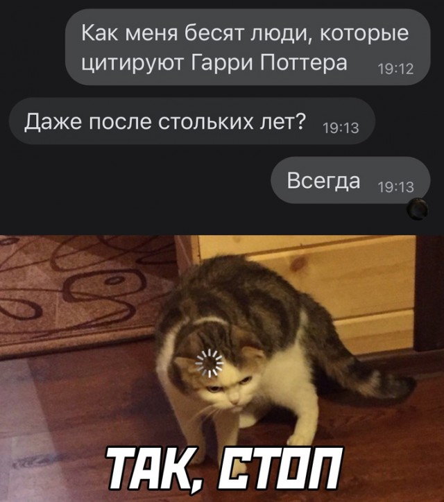 Весёлый полтишок 10.01