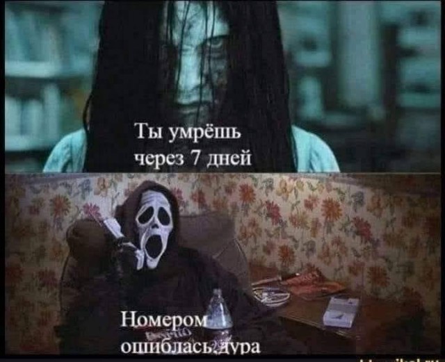 Всяческие картинки 31.01.2022