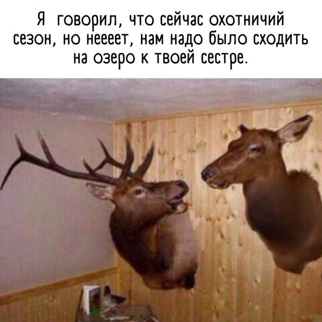 Так себе картинки 01.04.22