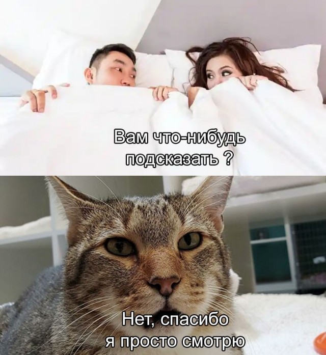 Немного мемчиков. Часть 1