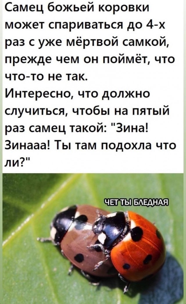 Так себе картинки 22.07.22