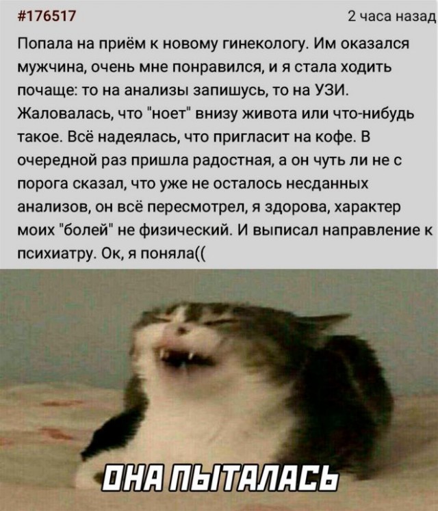 Картинки и мемы для настроения - 111