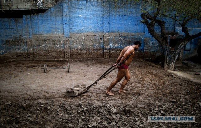 Школа индийской борьбы Кушти