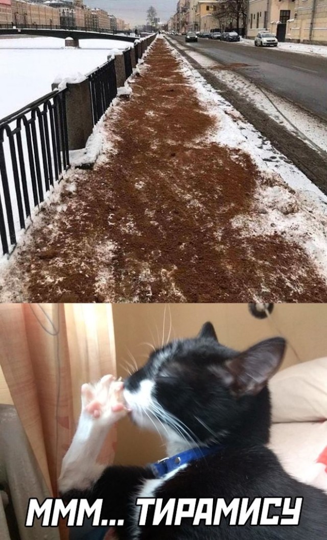 Псто с картинками