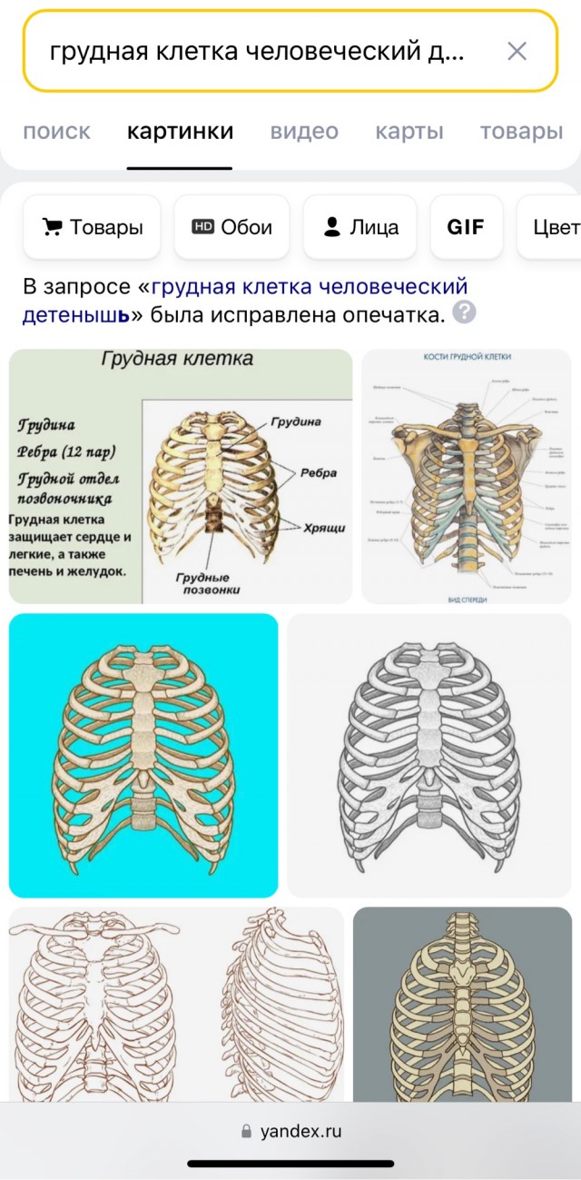 Глава СКР Бастрыкин наградил мальчика Федора, спасшего двух девочек при атаке диверсантов в Брянской области