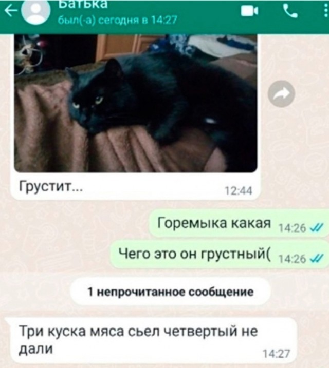 Всего понемногу. От 29.07