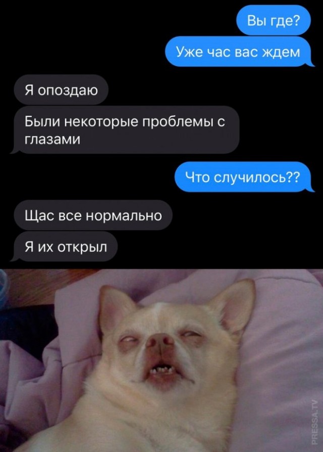 Юмор в картинках и без