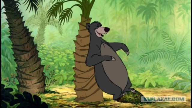 Медведь чешет **опу в камчатском лесу. Спасибо за внимание