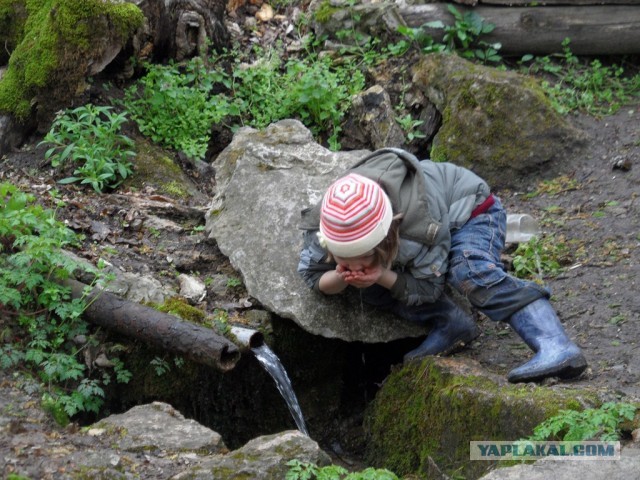 Грибной сезон открыт!