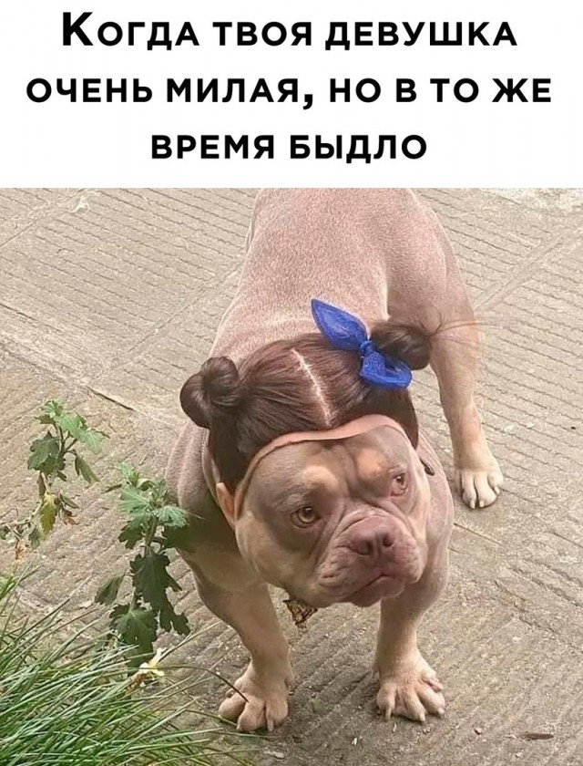 Всего понемногу. От 17.11.23
