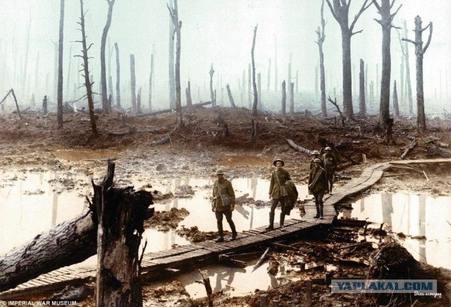 Ретро фотографии. Разное.