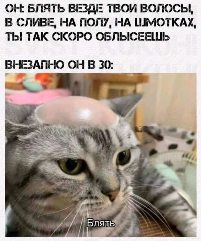 Всего понемногу. От 20.03.24