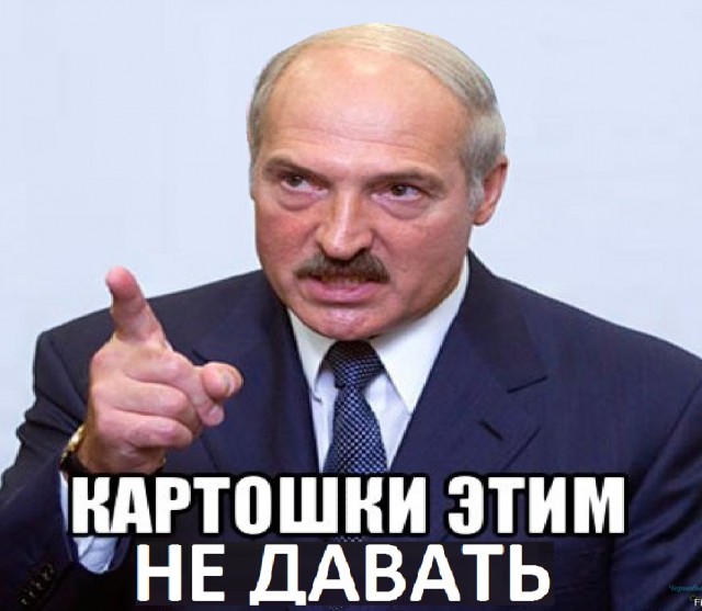 ВЭФ требует запретить домашние овощи и фрукты