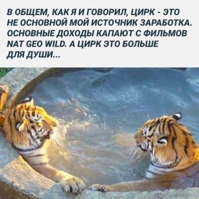 Всего понемногу. От 12.05.2024