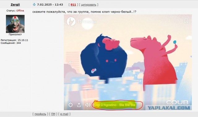 COUB в пятницу!