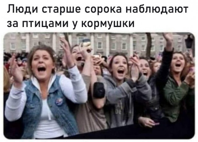 В Швеции целые толпы собираются, чтобы посмотреть, как коровы впервые выходят на улицу после зимы