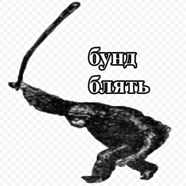 I need help! Как Данила