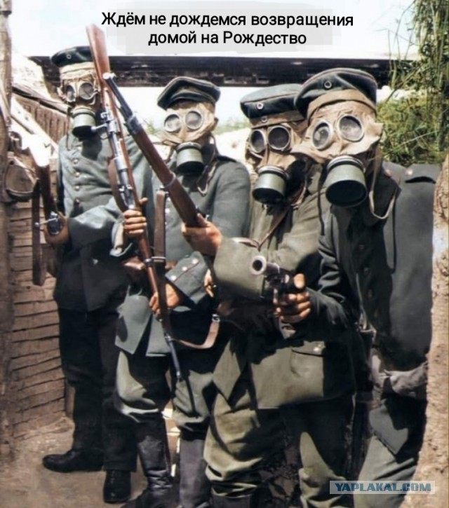 Внезапная соточка дичи