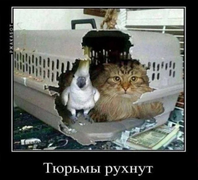 Видимо пришло время....