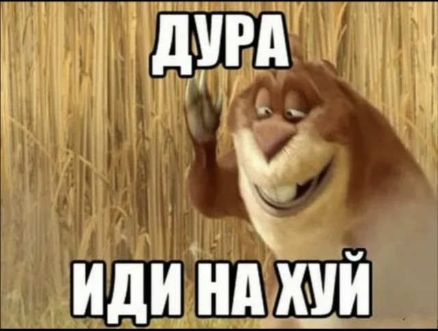 На данной ноте наше общение подошло к концу. Прошу меня больше не беспокоить