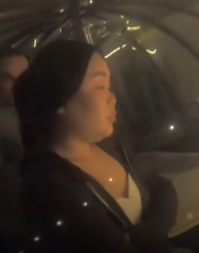 «Могли бы Снегурочкой поработать. Лучше, чем мошенницей»