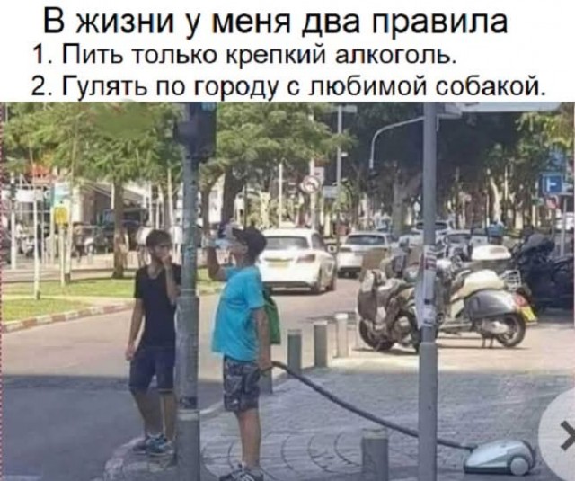 Картинища - баянища