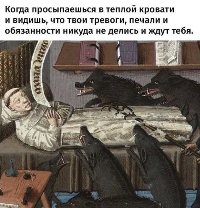 Картинки для деградации 203  (разной степени свежести)