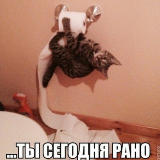 Картиночки, баянчики 05 июня